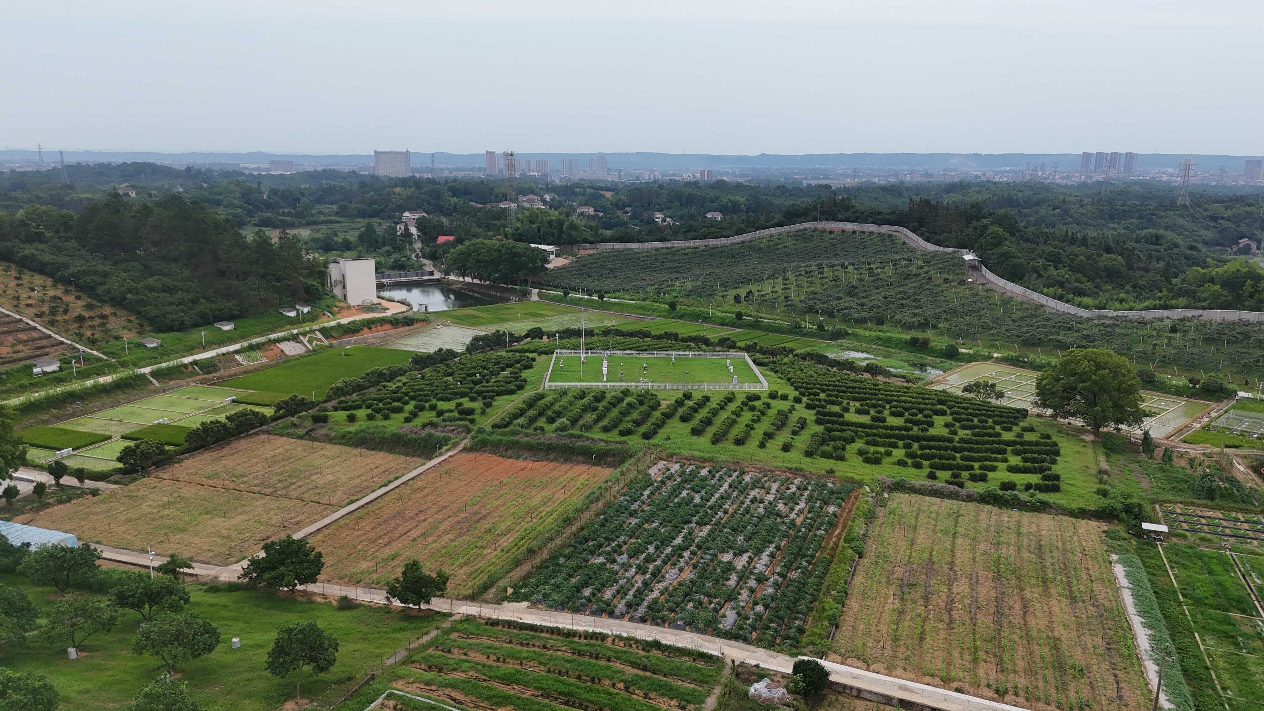 桃源站風(fēng)光