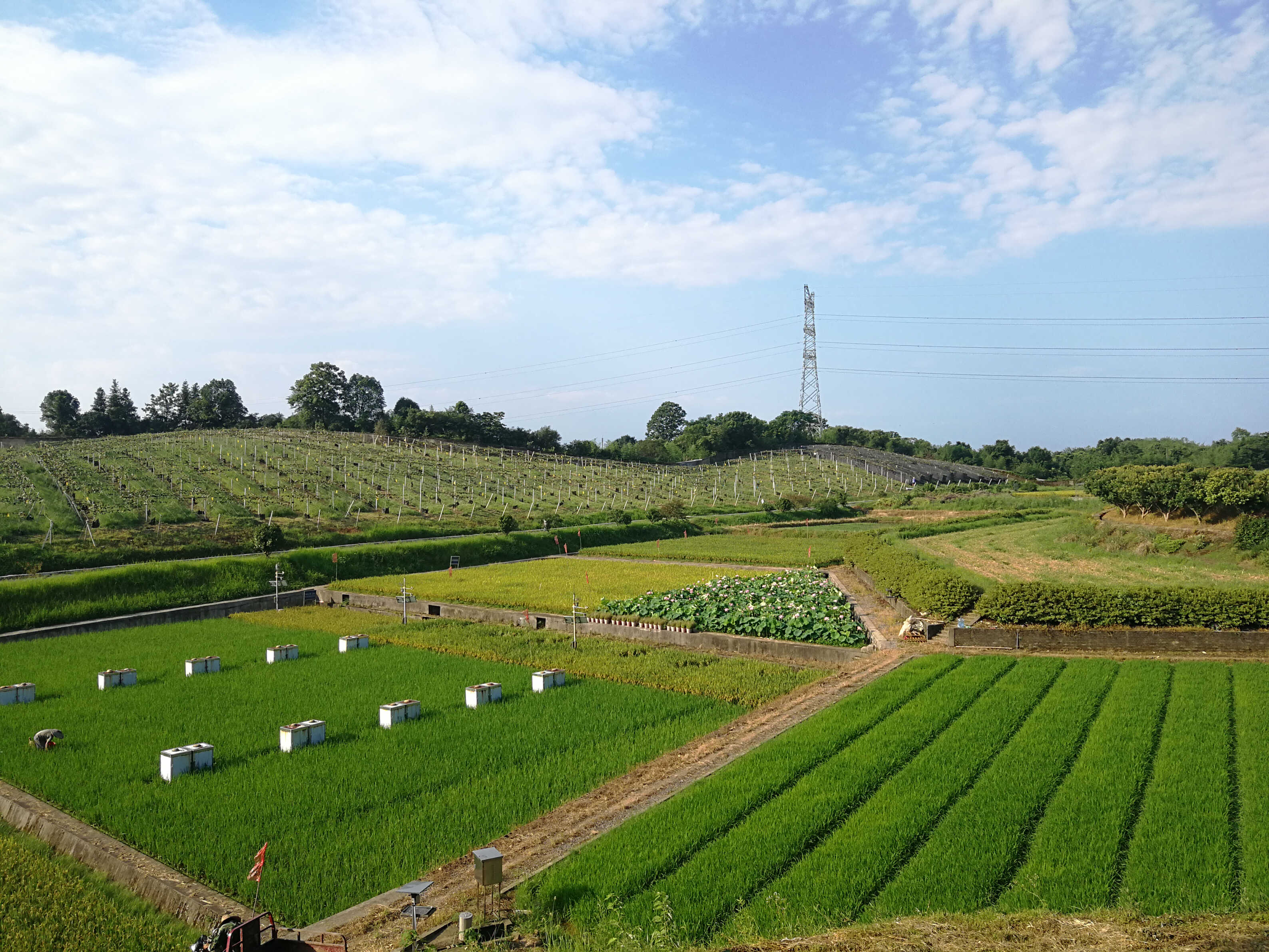 桃源站風(fēng)光