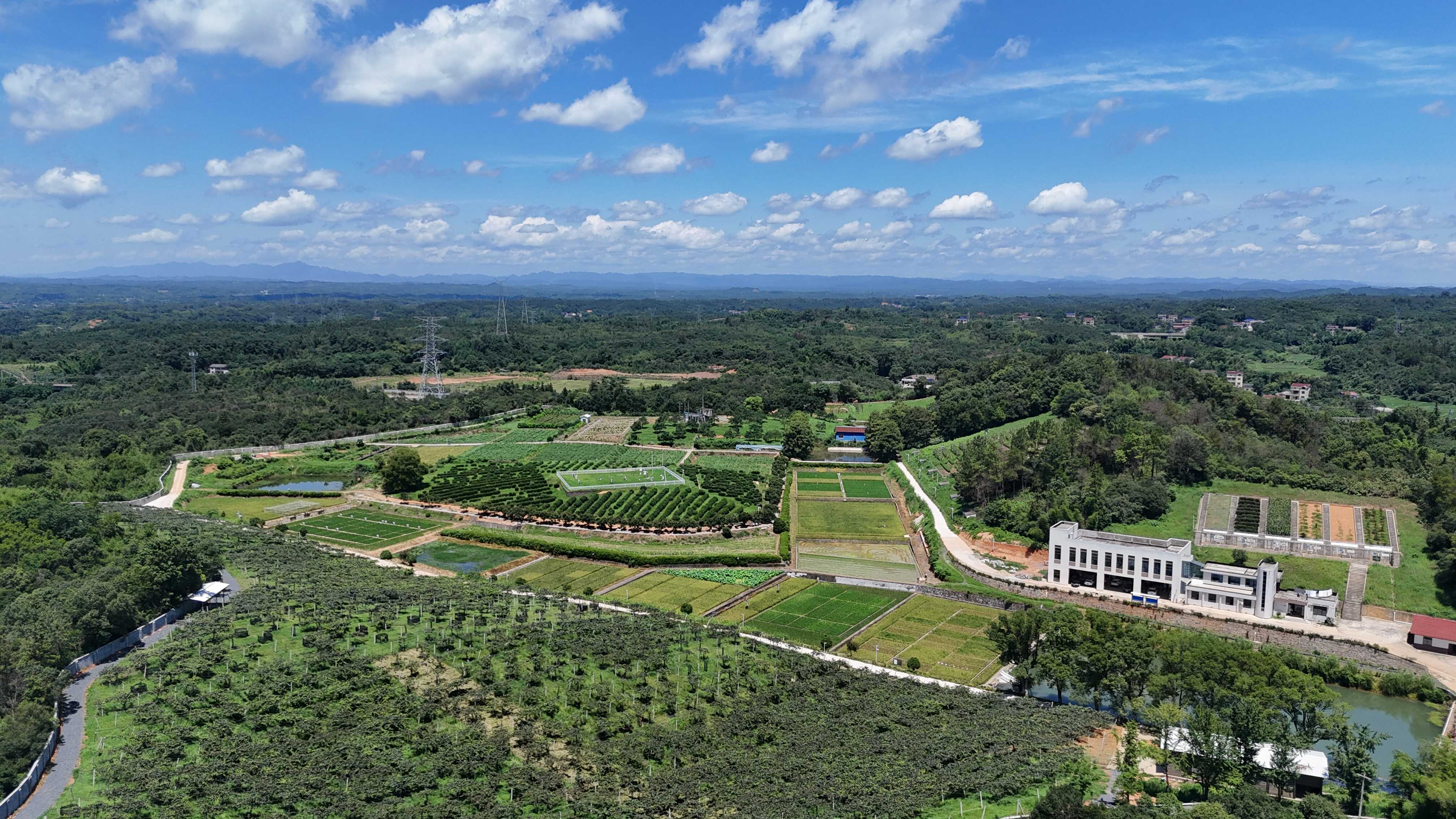 桃源站風(fēng)光