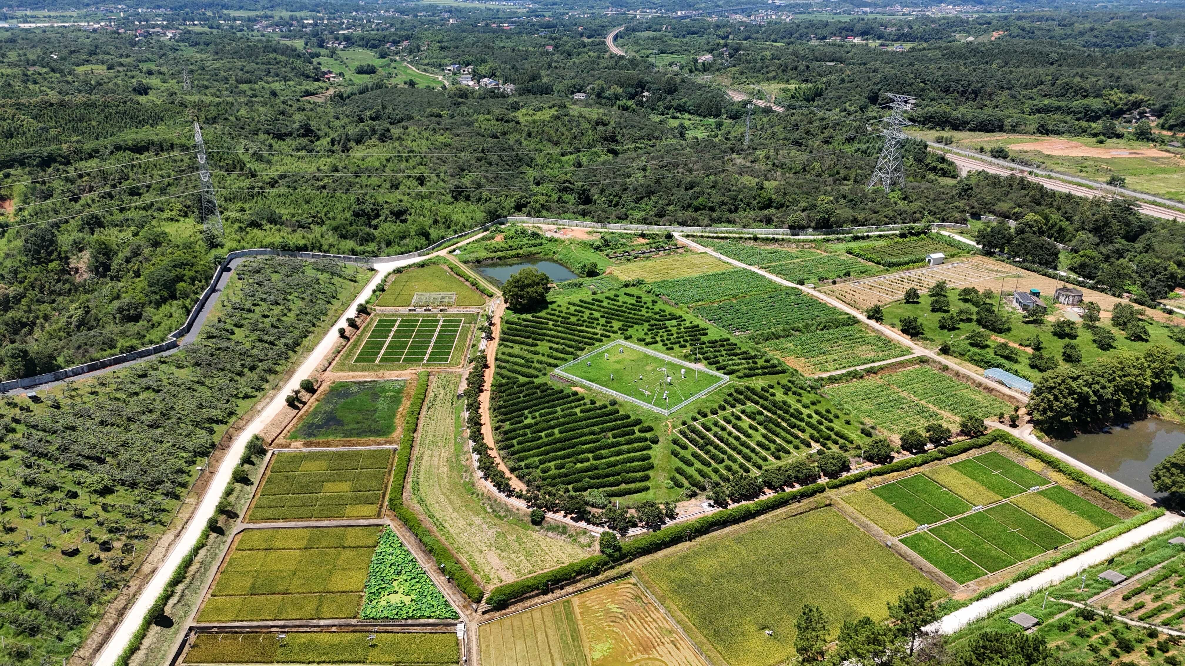 桃源站風(fēng)光